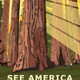 Illustration for article titled Express Your American Pride with Vintage-Style National Park Posters